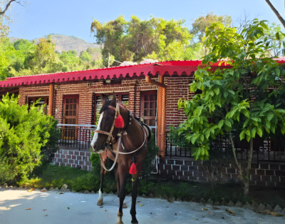 Titan Villa, Bhimtal