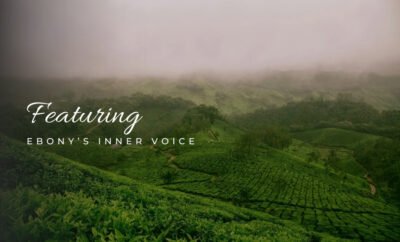 Top 3 Luxurious Villas in Bhimtal