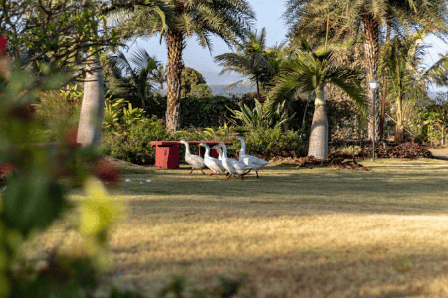 Waterville 2, Nashik