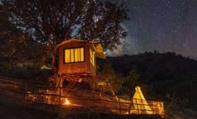 Canopy Nest, Trimbakeshwar